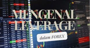 Mengenal Istilah Leverage