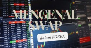 Istilah Swap Dalam Forex